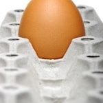 A single brown egg in the carton