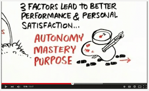 "Autonomy Mastery Purpose" video clip