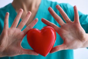 doctor holding plastic heart